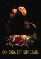 смотреть онлайн Как вода для шоколада (1991) бесплатно в HD 